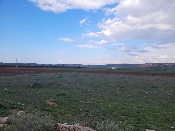 Propiedad gestionada por HOLA! Spain - Terreno en Mollina