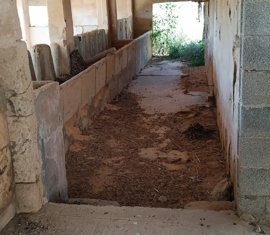 Propiedad gestionada por HOLA! Spain - Parcela en Campos (Campos)