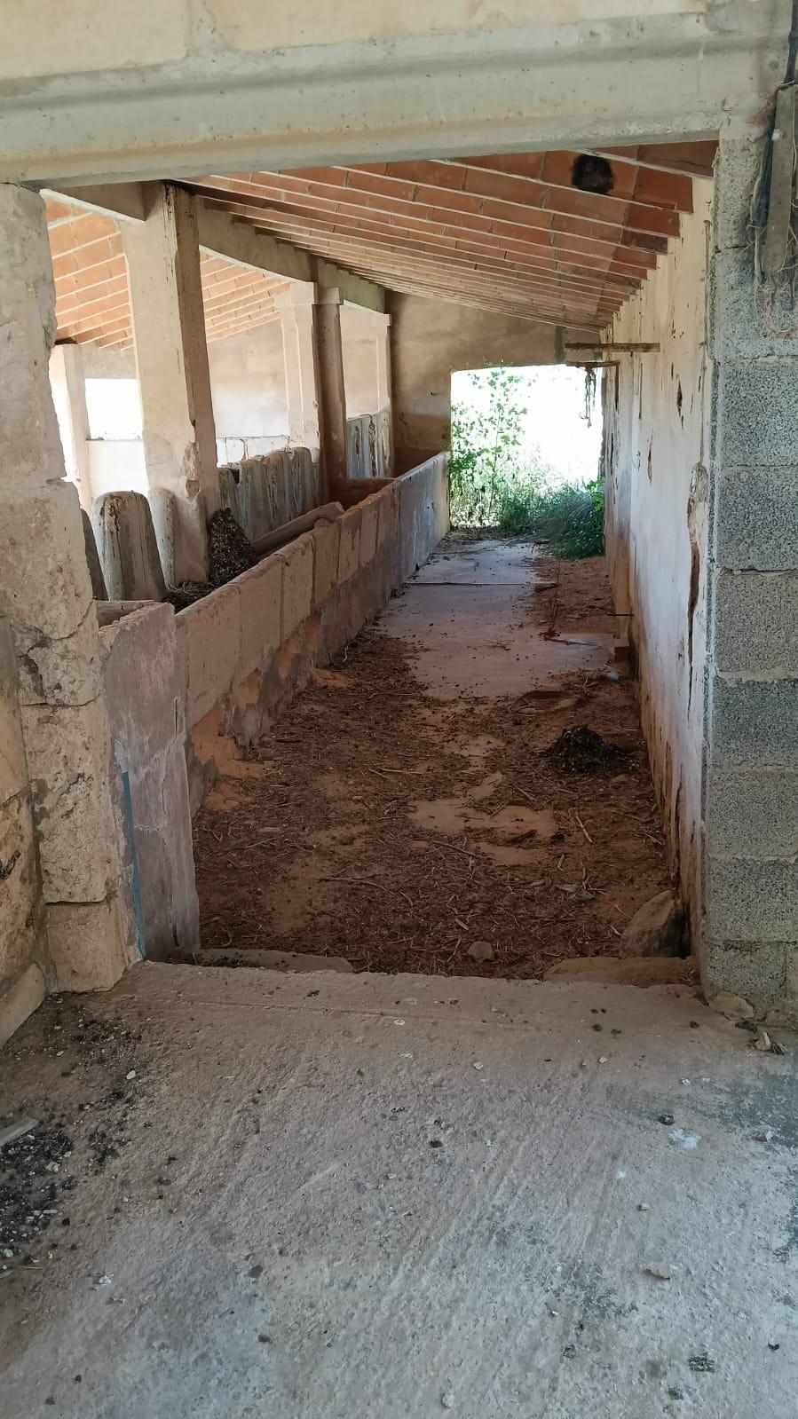 Propiedad gestionada por HOLA! Spain - Parcela en Campos (Campos)